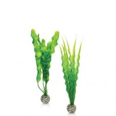 biOrb Green Easy Plant Set